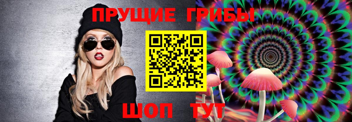 Псилоцибиновые грибы прущие грибы  купить   Малгобек  Вход с VPN 