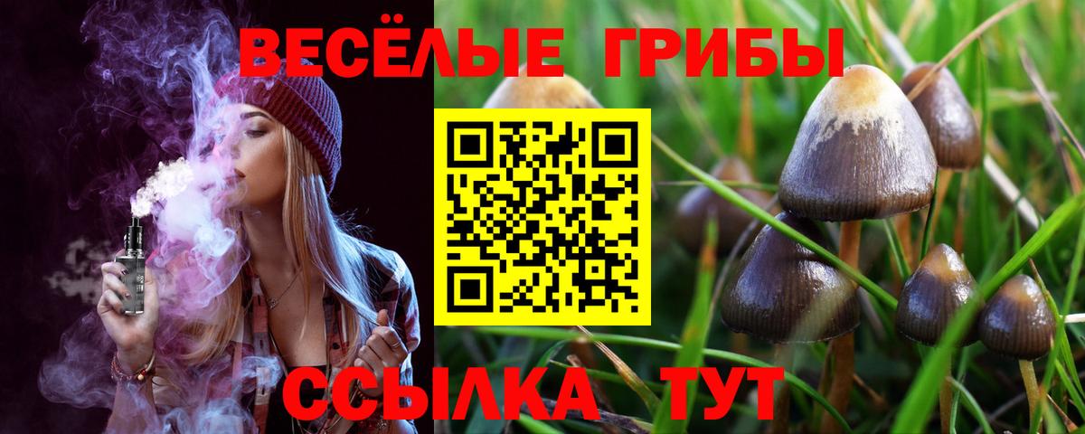 Галлюциногенные грибы GOLDEN TEACHER Малгобек